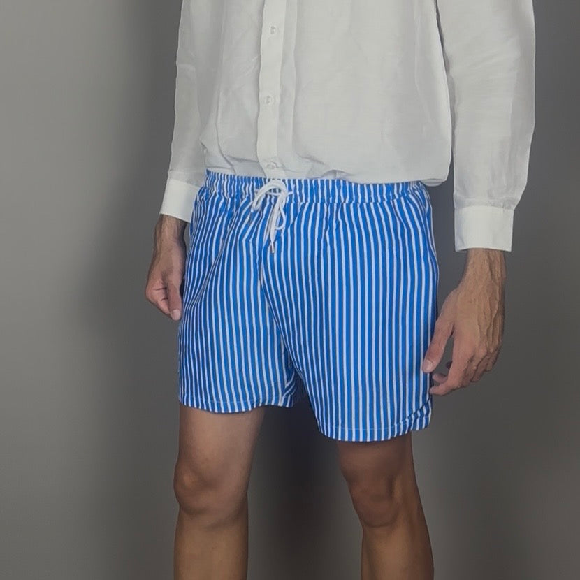 Altrui Blue and White Striped Silk Linen Shorts