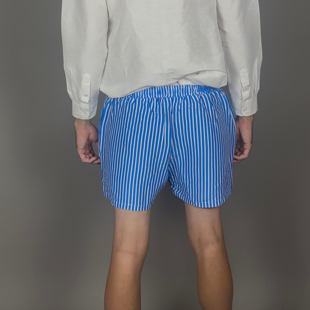 Altrui Blue and White Striped Silk Linen Shorts